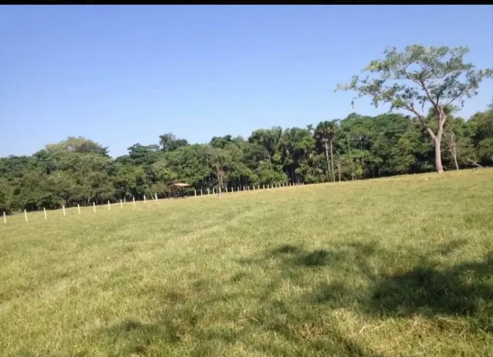VENDO HERMOSA FINCA EN CUMARAL - 18