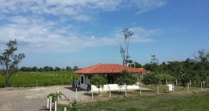 VENDO HERMOSA FINCA EN CUMARAL - 4