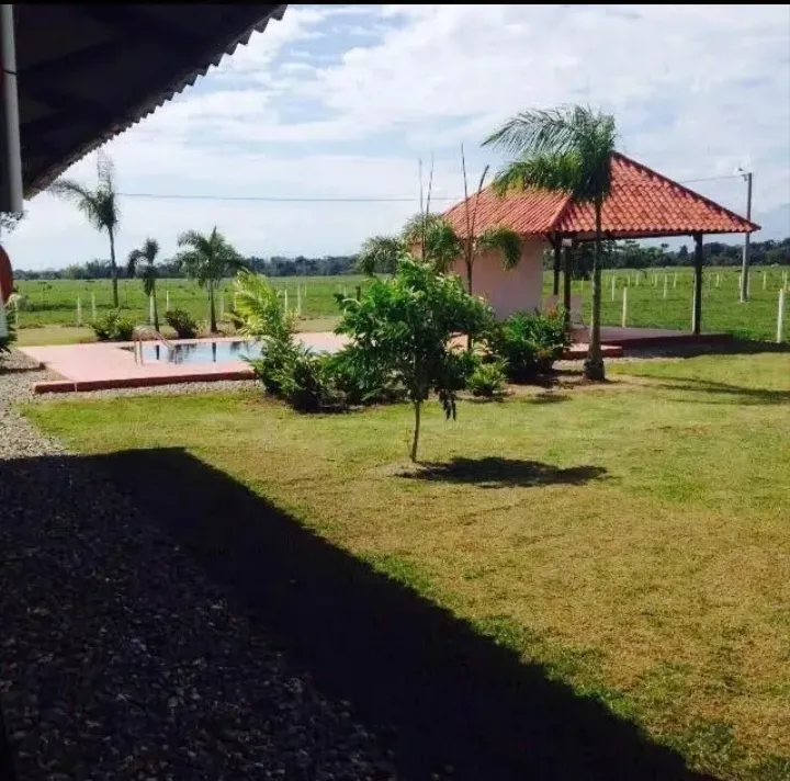 VENDO HERMOSA FINCA EN CUMARAL - 13