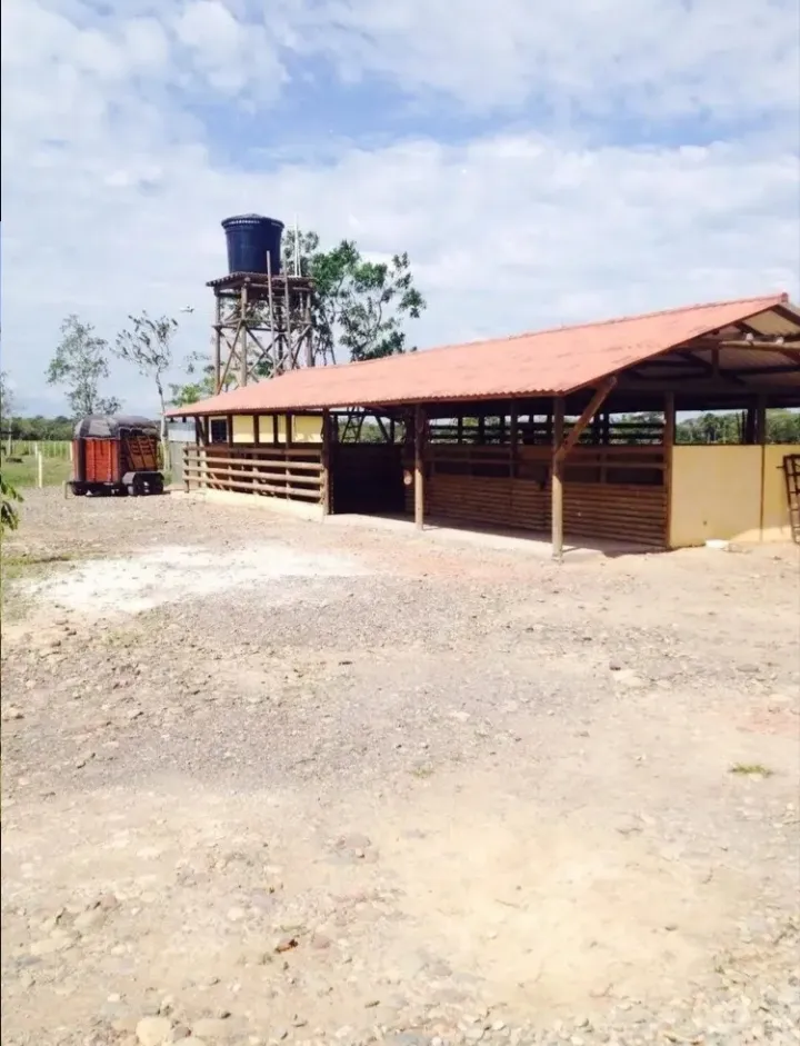 VENDO HERMOSA FINCA EN CUMARAL - 19
