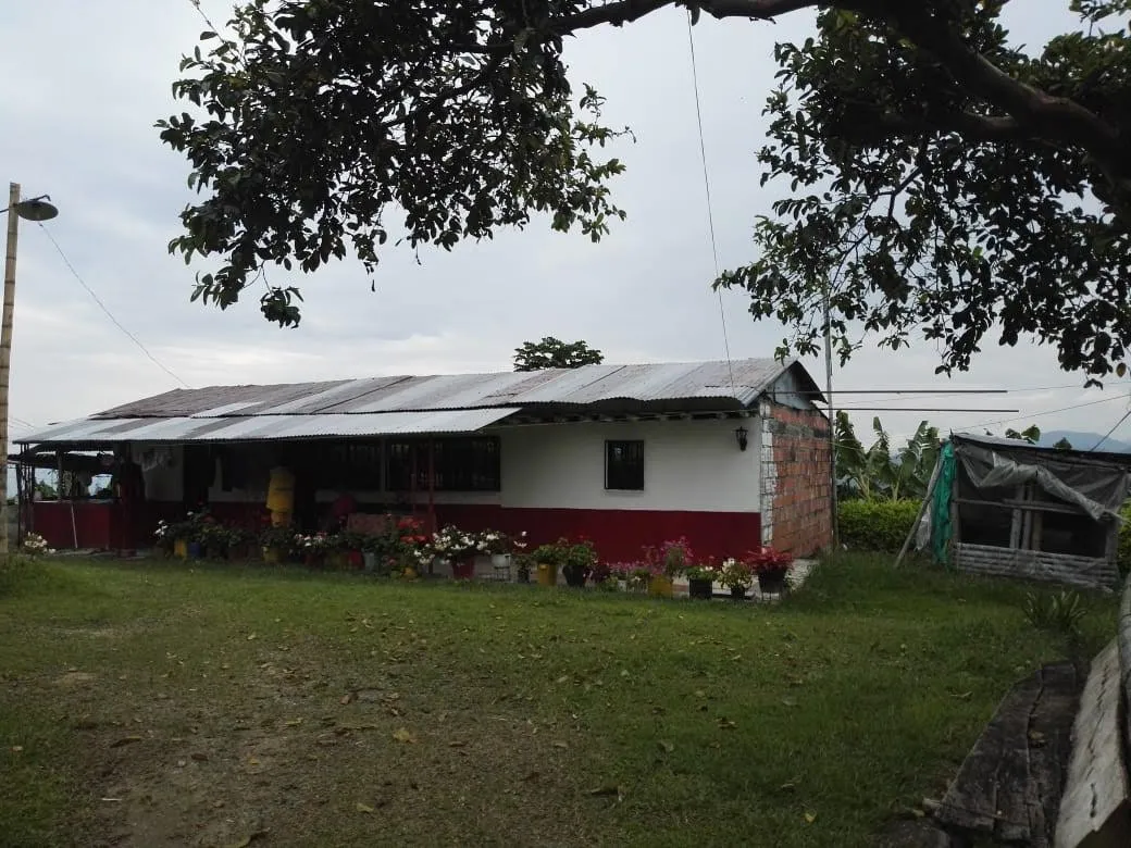 SE VENDE HERMOSA FINCA EN MANIZALES - 11