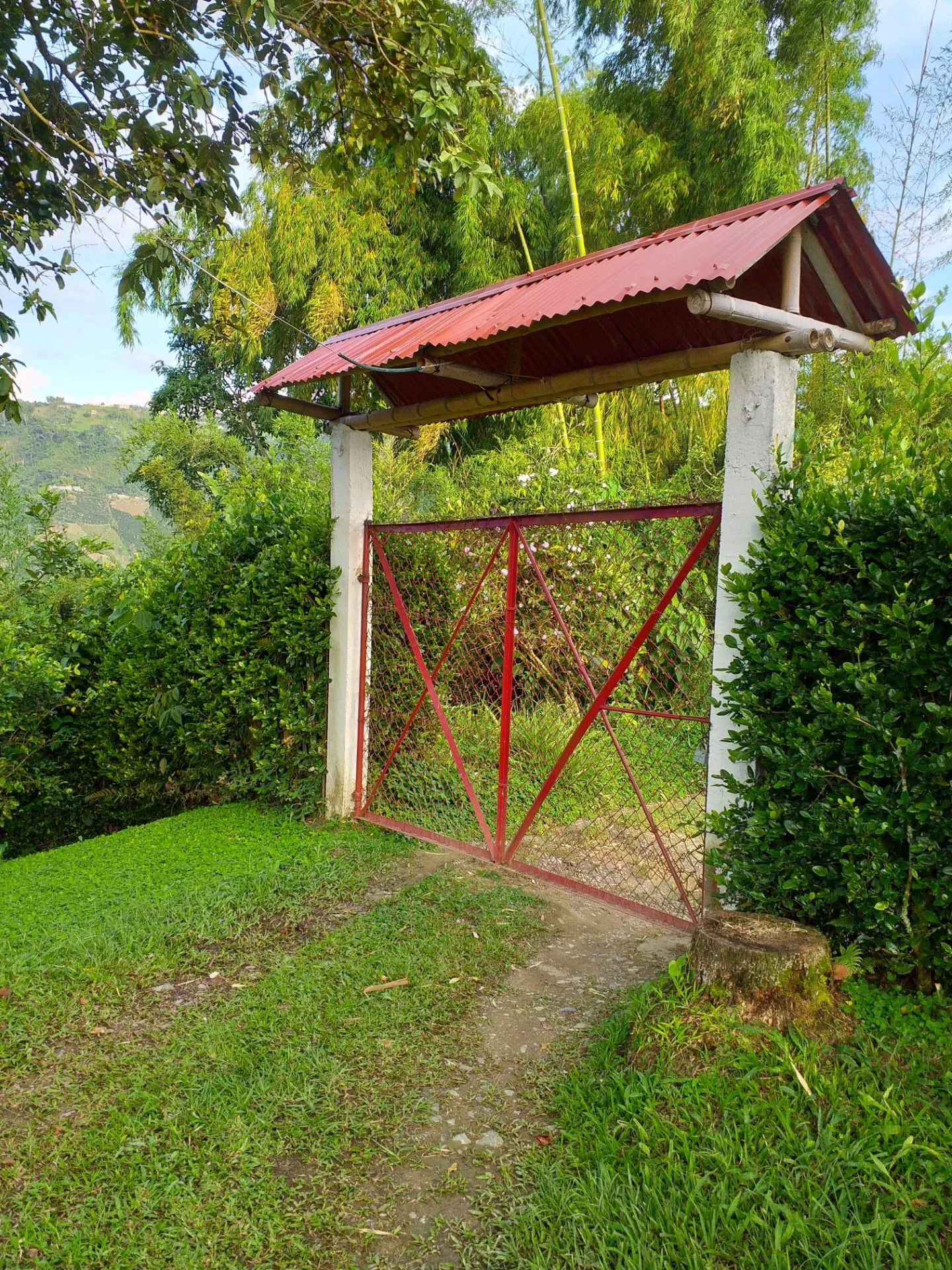 SE VENDE HERMOSA FINCA EN MANIZALES - 16