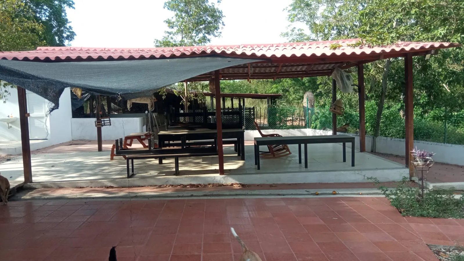 SE VENDE FINCA DE 30.000 M² EN BARANOA, ATLÁNTICO - 12