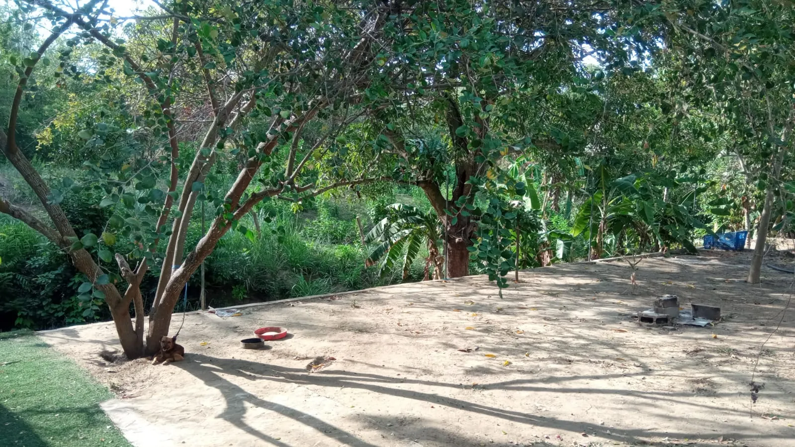 SE VENDE FINCA DE 30.000 M² EN BARANOA, ATLÁNTICO - 4