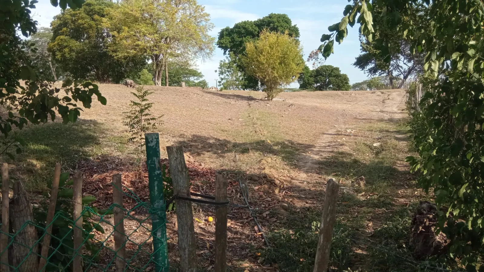 SE VENDE FINCA DE 30.000 M² EN BARANOA, ATLÁNTICO - 13