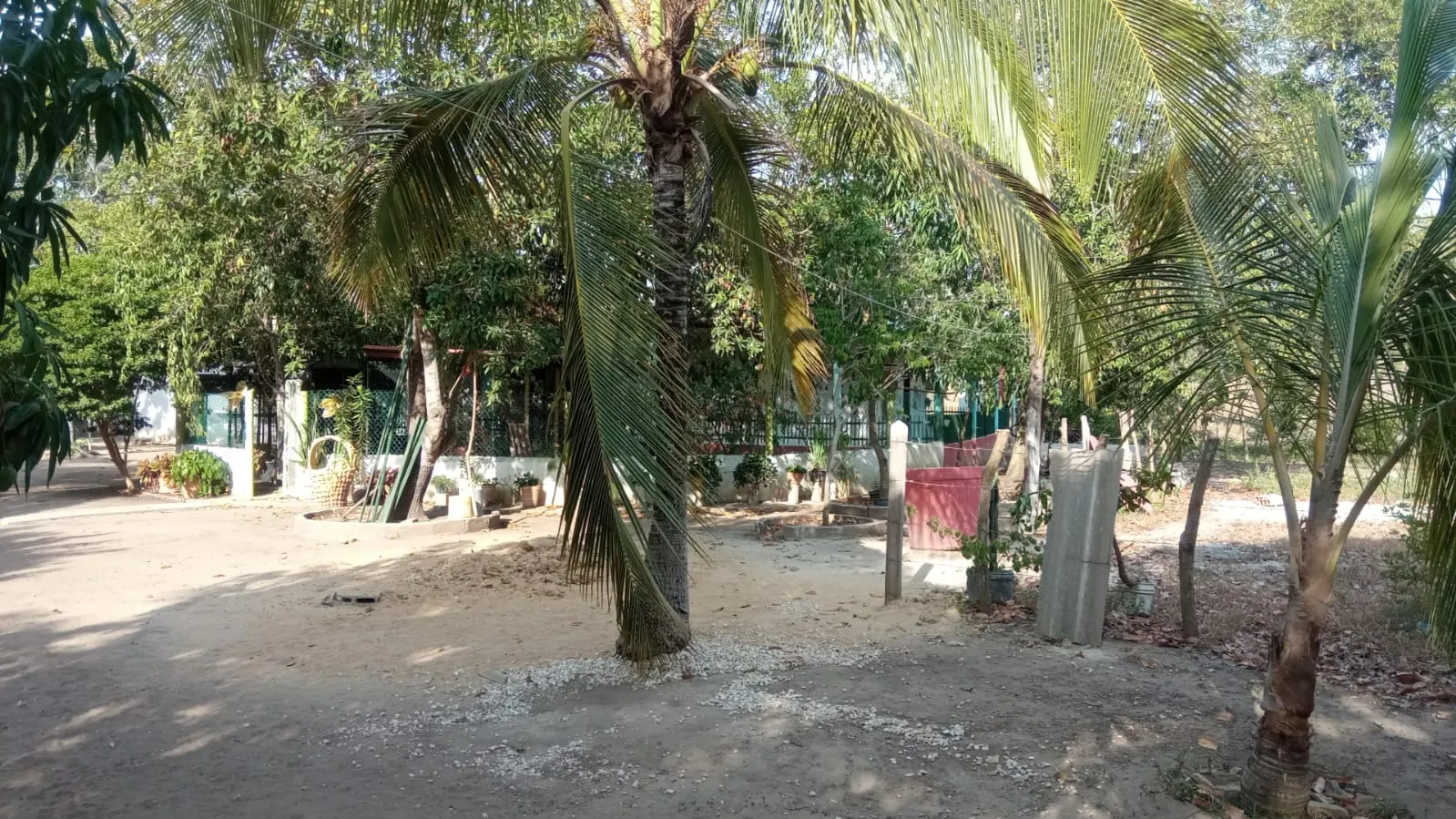 SE VENDE FINCA DE 30.000 M² EN BARANOA, ATLÁNTICO - 2