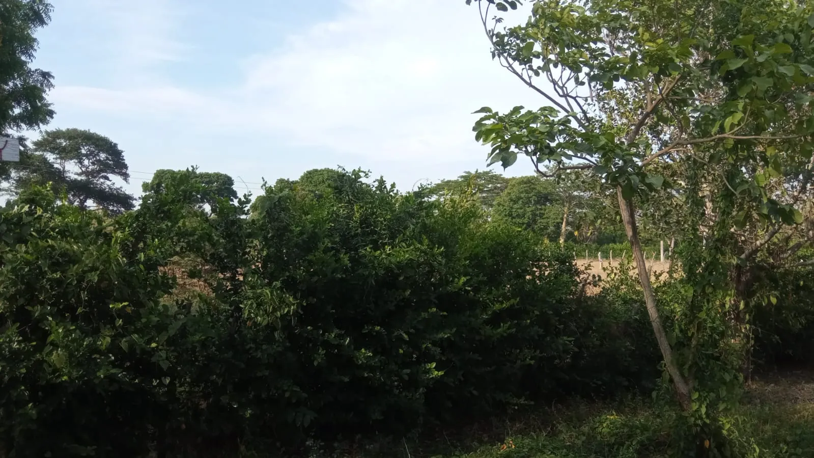 SE VENDE FINCA DE 30.000 M² EN BARANOA, ATLÁNTICO - 18