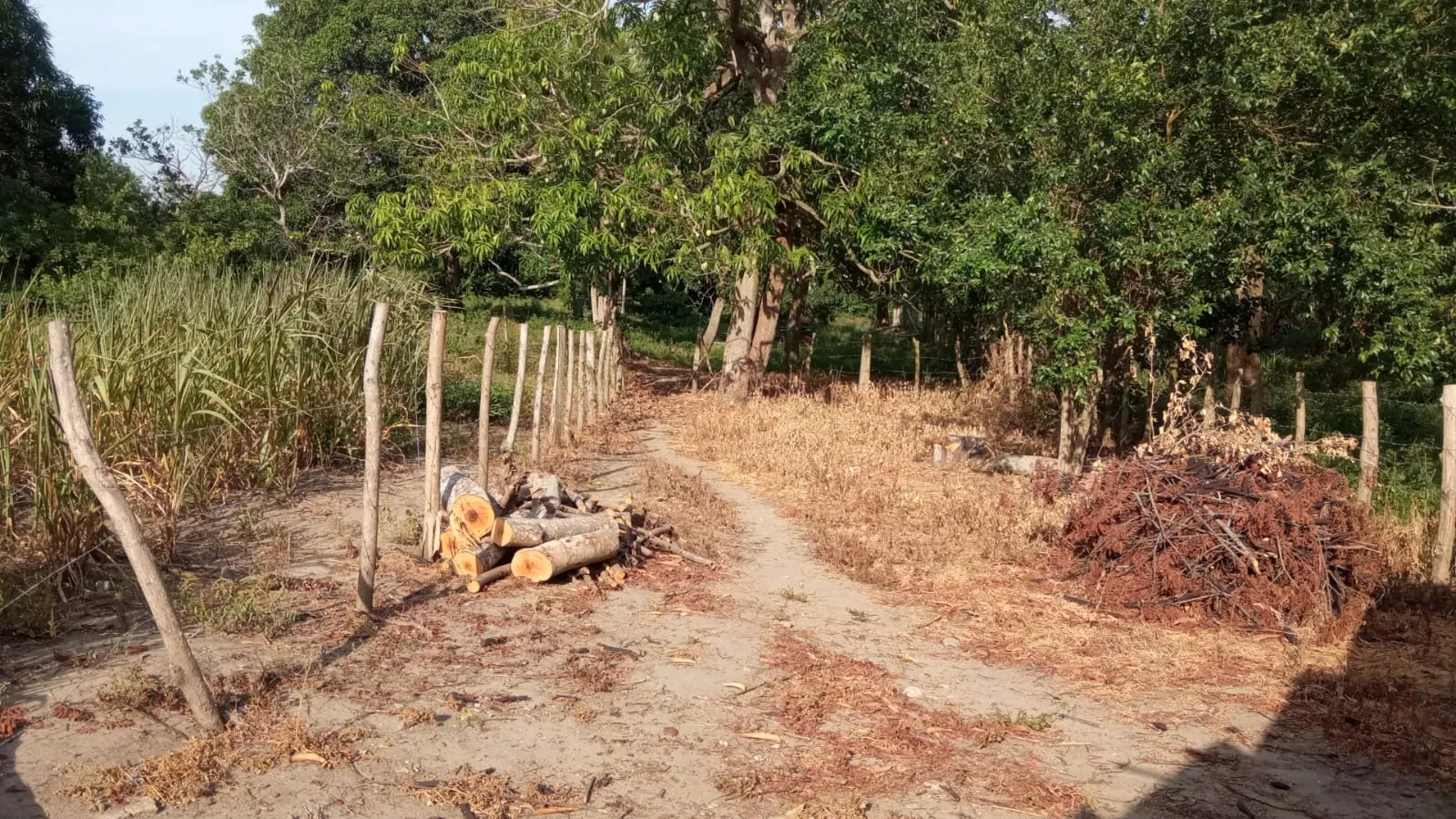 SE VENDE FINCA DE 30.000 M² EN BARANOA, ATLÁNTICO - 8