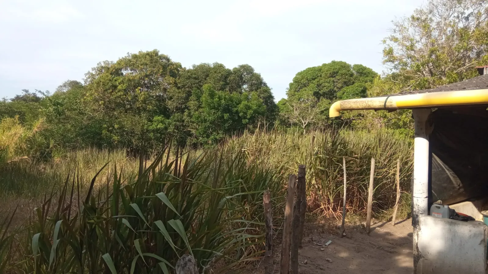 SE VENDE FINCA DE 30.000 M² EN BARANOA, ATLÁNTICO - 6