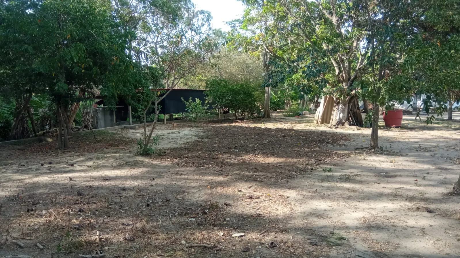 SE VENDE FINCA DE 30.000 M² EN BARANOA, ATLÁNTICO - 3