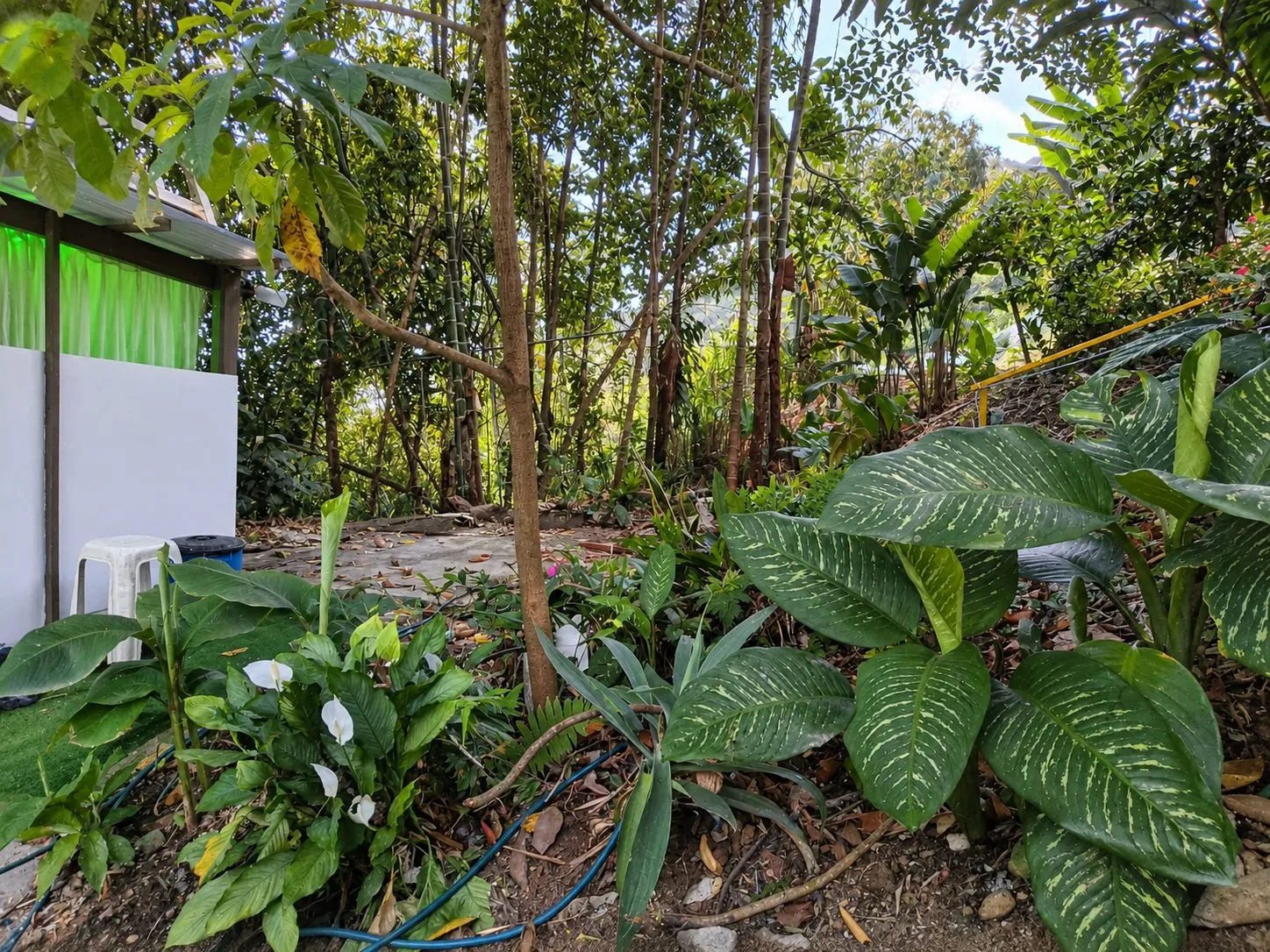 Glamping cerca de la ciudad km5 via Cristo Rey, rodeado de naturaleza - 7