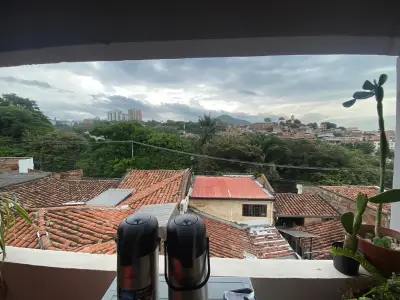 Miniatura 7