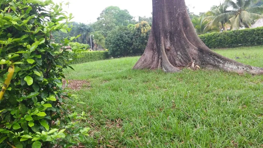 VENDO LOTE ESQUINERO DE 1.281 M² EN CONDOMINIO EXCLUSIVO – MELGAR, TOLIMA - 2