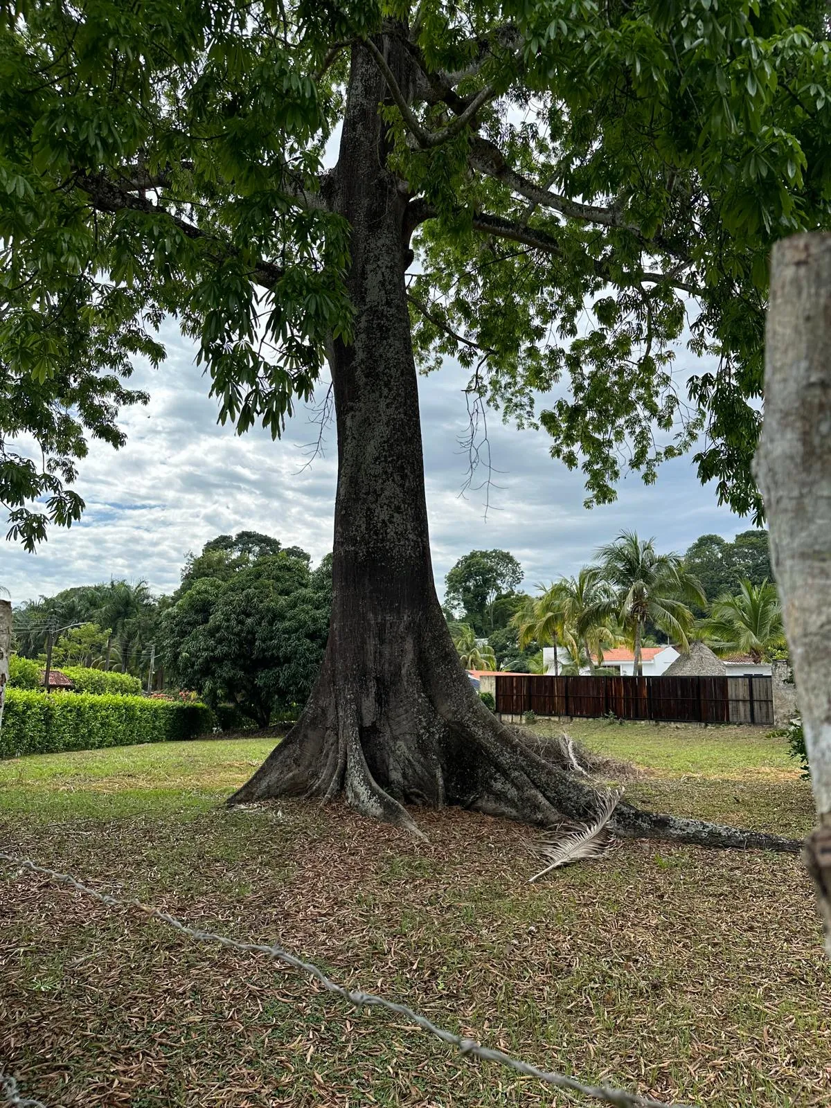 VENDO LOTE ESQUINERO DE 1.281 M² EN CONDOMINIO EXCLUSIVO – MELGAR, TOLIMA - 5