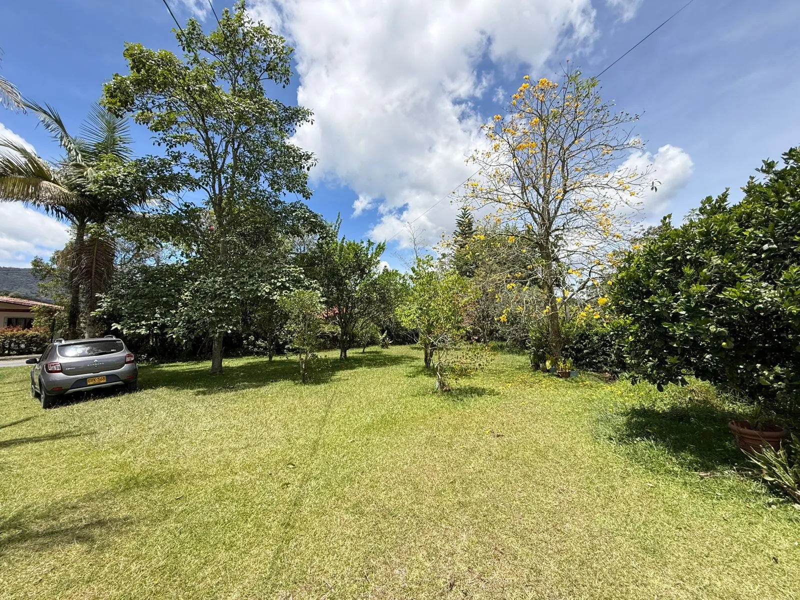 Se vende finca en vereda Betania - El Carmen de Viboral - 3