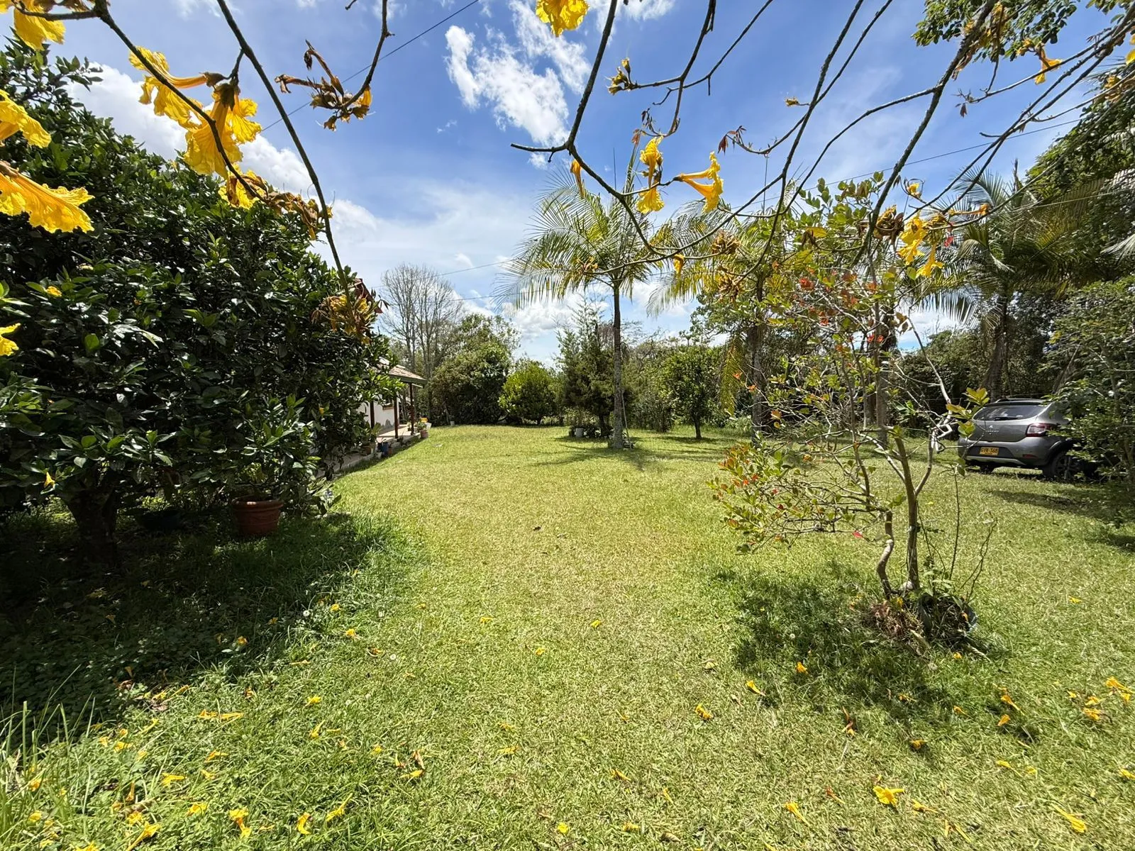 Se vende finca en vereda Betania - El Carmen de Viboral - 5