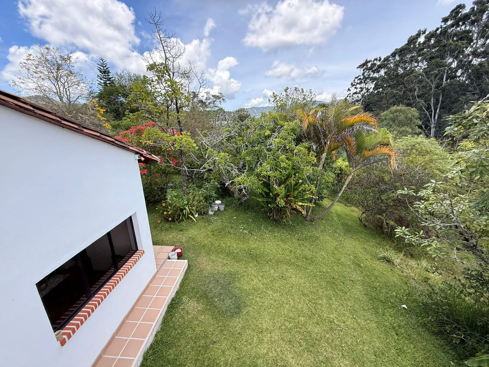 Se vende finca en vereda Betania - El Carmen de Viboral - 18