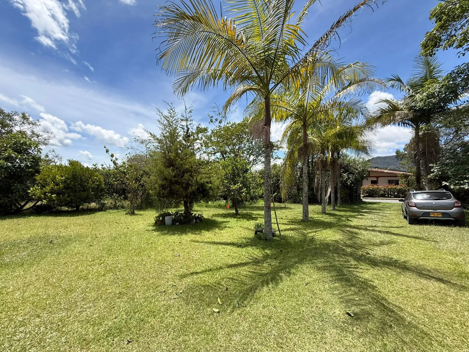 Se vende finca en vereda Betania - El Carmen de Viboral - 2