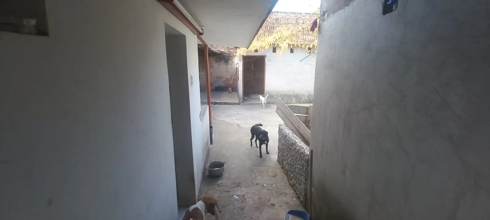 Casa en venta en barrio Sevilla Cucuta - 7