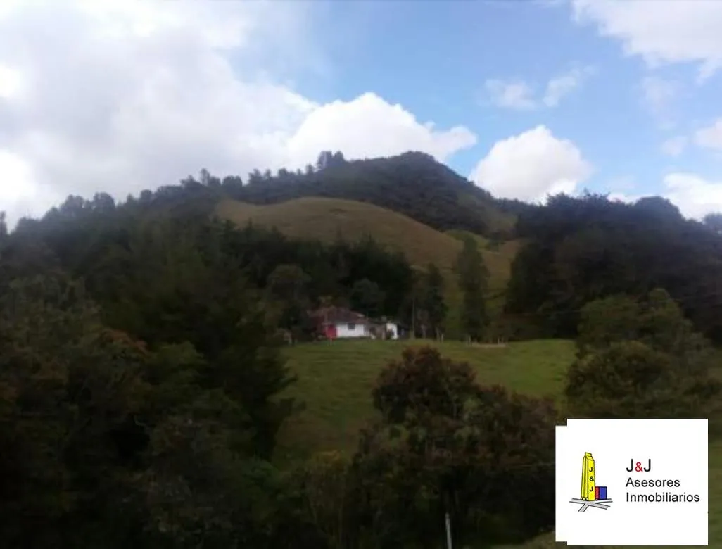 Finca de recreo en Venta El Capiro via San Antonio La Ceja del Tambo - 7