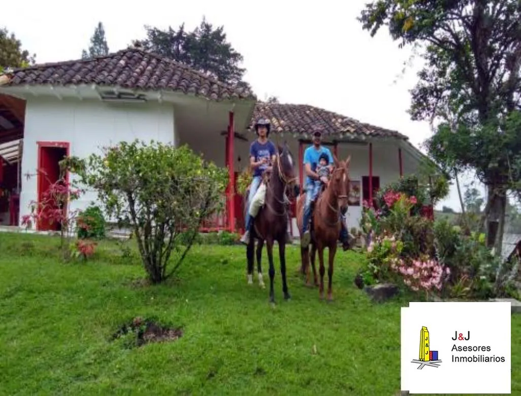 Finca de recreo en Venta El Capiro via San Antonio La Ceja del Tambo - 3