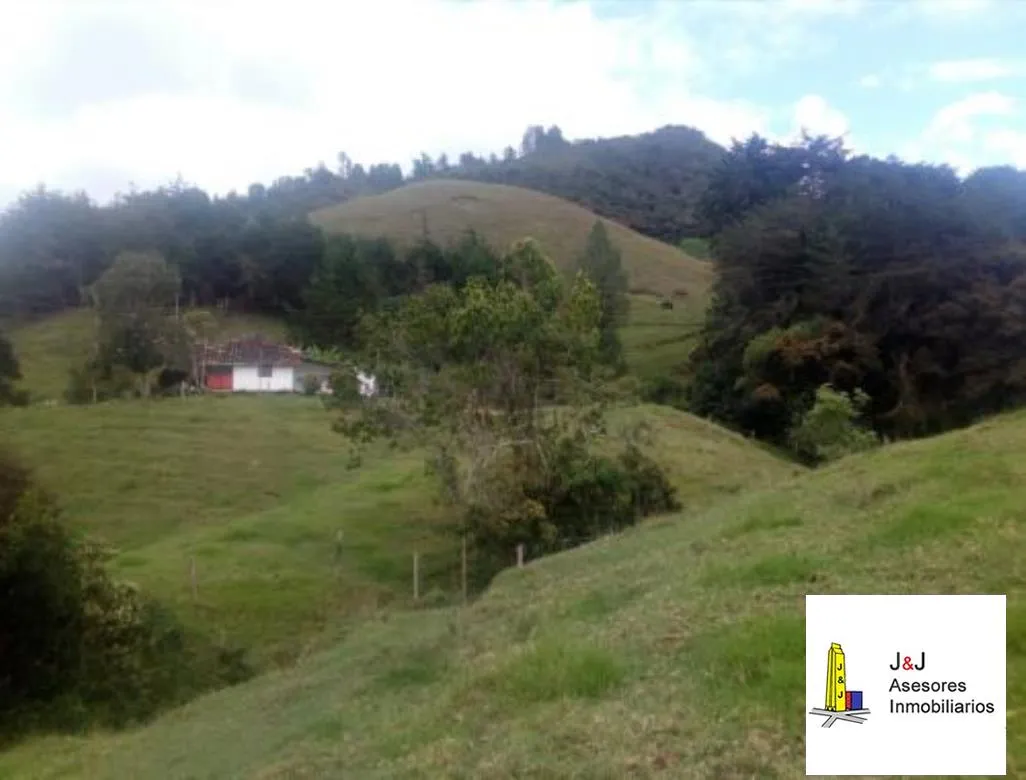 Finca de recreo en Venta El Capiro via San Antonio La Ceja del Tambo - 6