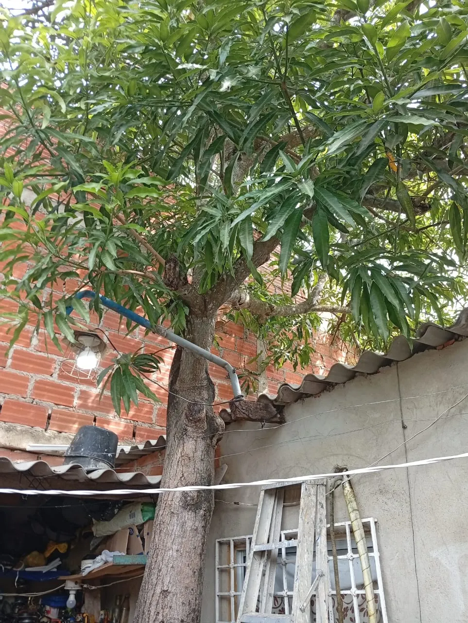 CASA EN VENTA EN EL BARRIO EL POZON CARTAGENA - 9