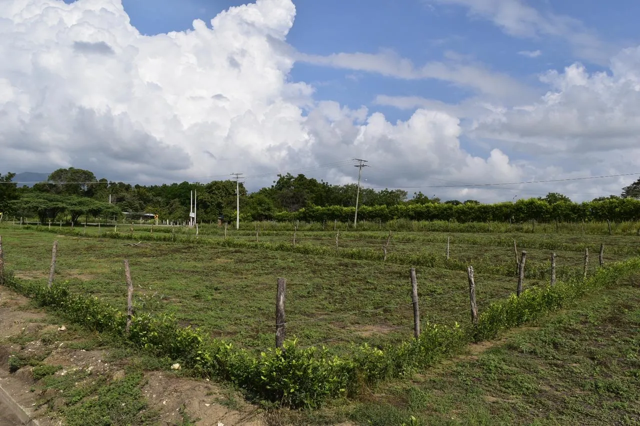 Lote en venta en Ricaurte Cundinamarca de 1.000 m² - 8