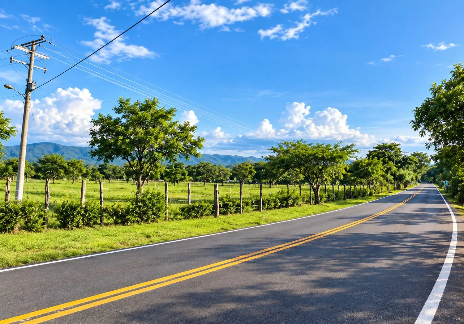 Lote en venta en Ricaurte Cundinamarca de 1.000 m² - 13