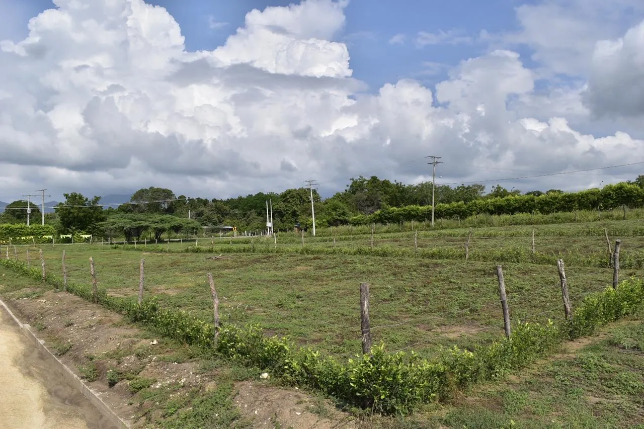 Lote en venta en Ricaurte Cundinamarca de 1.000 m² - 6