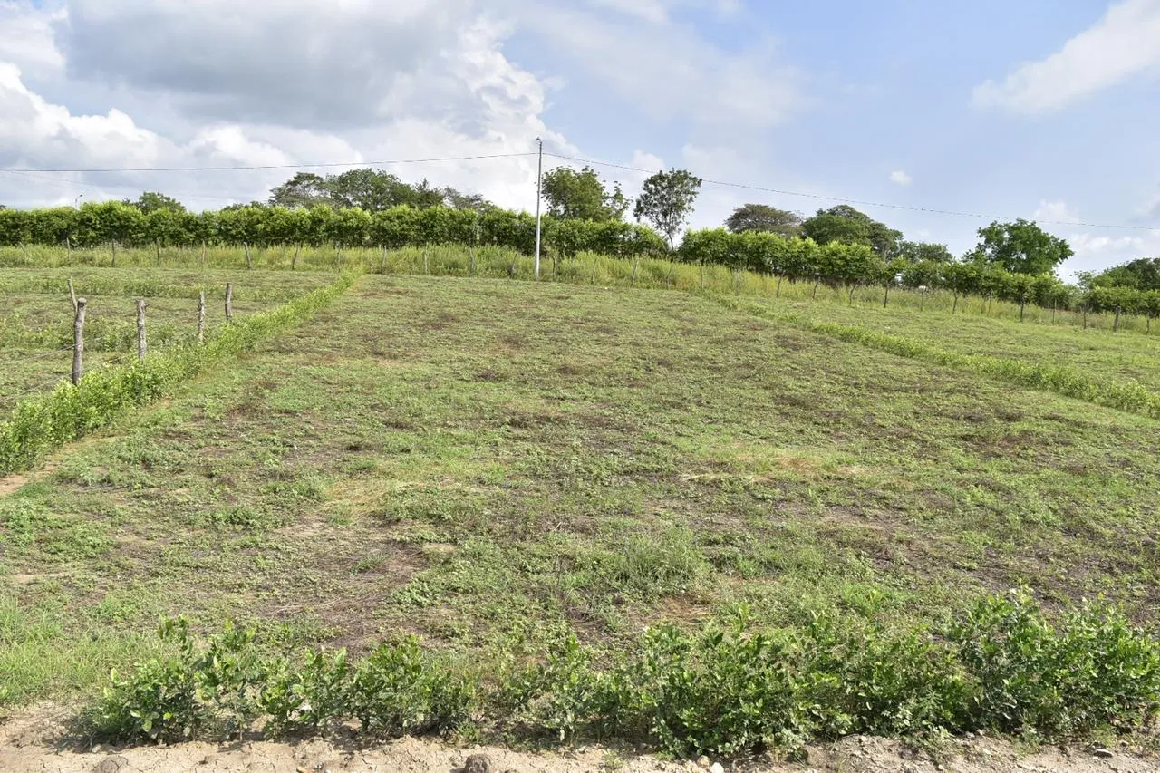 Lote en venta en Ricaurte Cundinamarca de 1.000 m² - 9