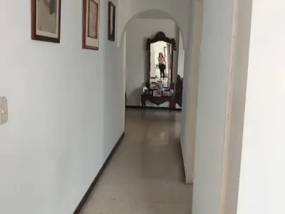 Miniatura 10