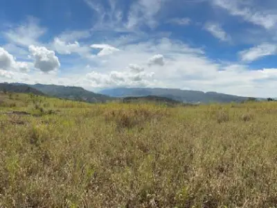 Terreno en Venta apto para proyecto ubicado a 3 kilómetros del Anillo Vial Piedecuesta - Girón