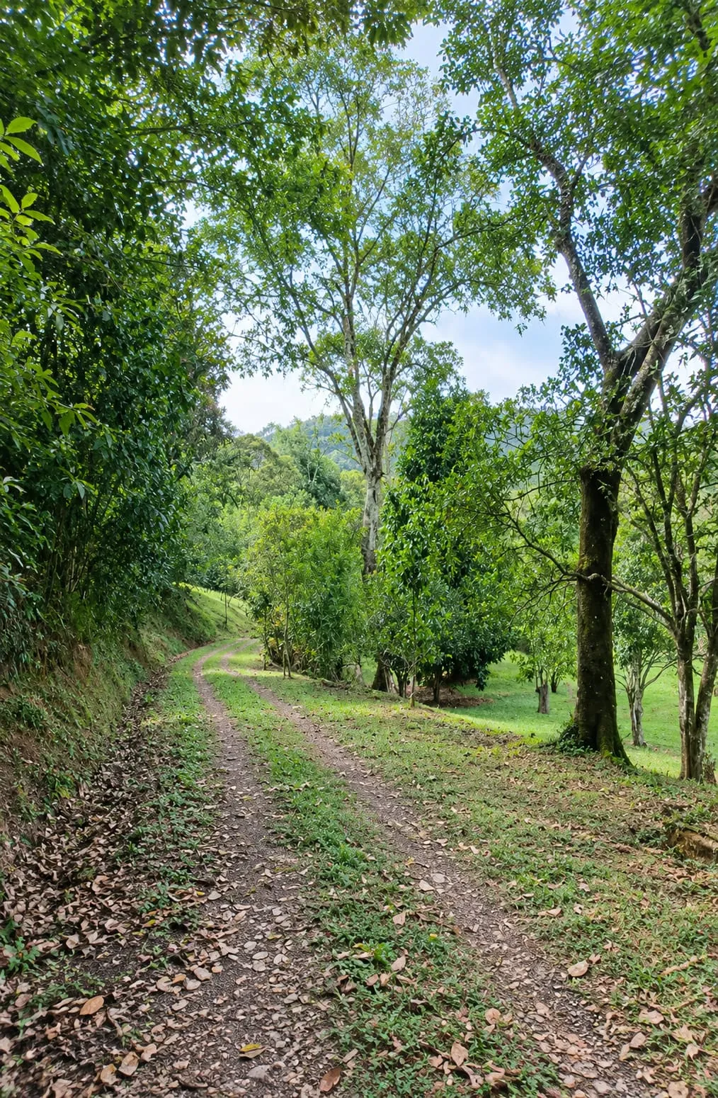 Arriendo casa campestre en La Vega, Cundinamarca. — foto 6