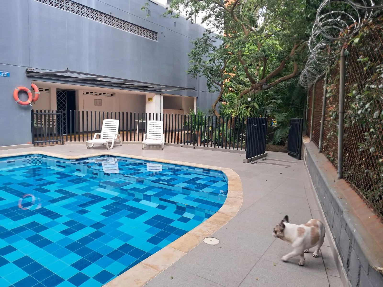 Apartamento en venta en Loma de los Bernal, Medellín — foto 14