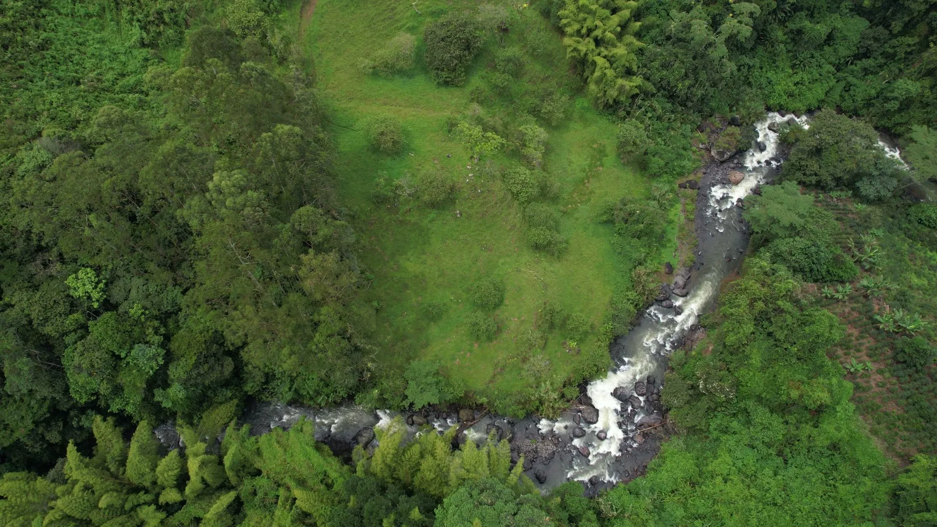 Terreno de 2,16 hectáreas en Jardín, Antioquia, con frente sobre el río Claro - 5