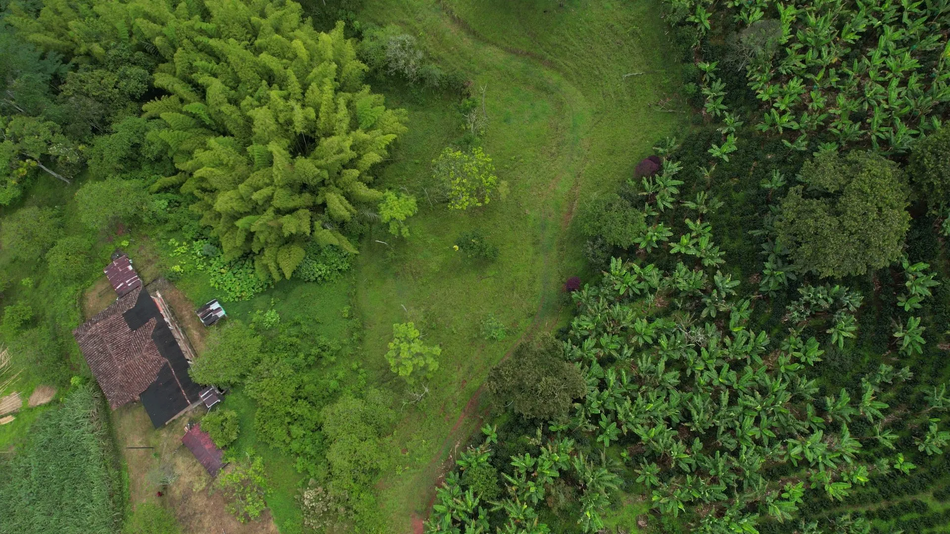 Terreno de 2,16 hectáreas en Jardín, Antioquia, con frente sobre el río Claro - 8