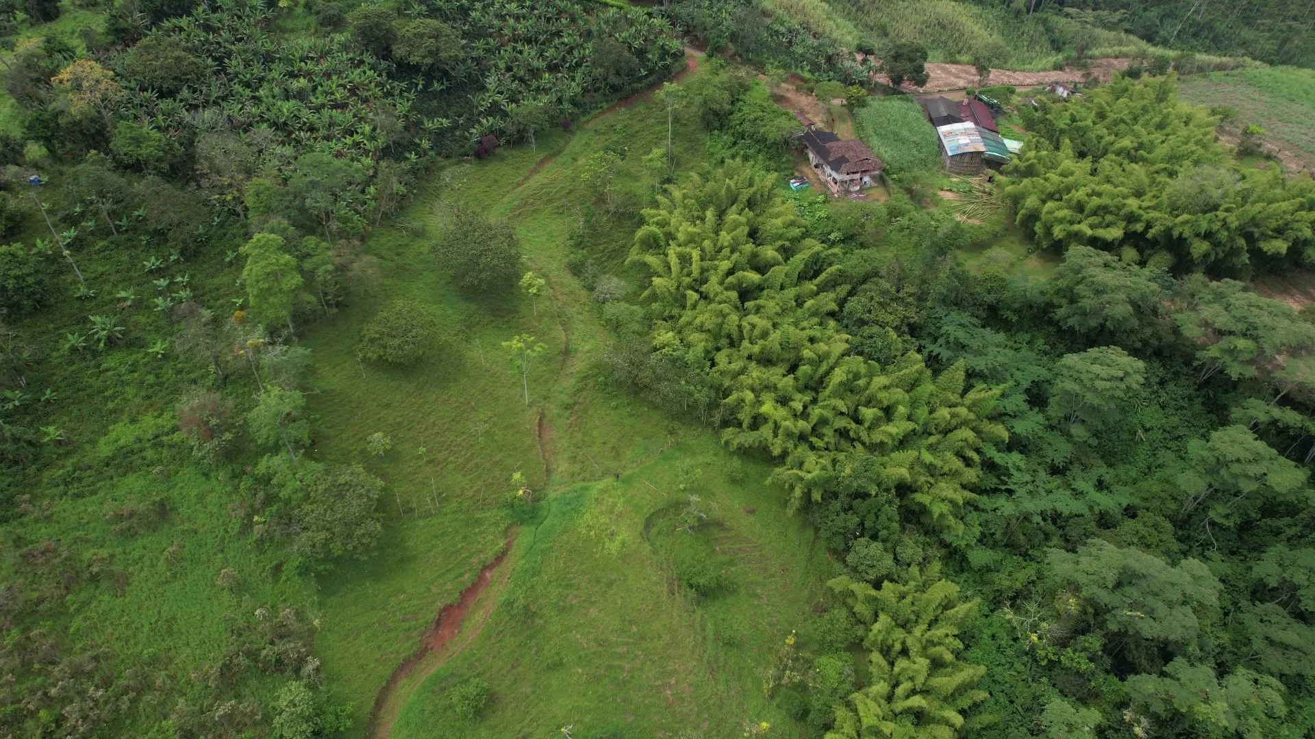 Terreno de 2,16 hectáreas en Jardín, Antioquia, con frente sobre el río Claro - 7