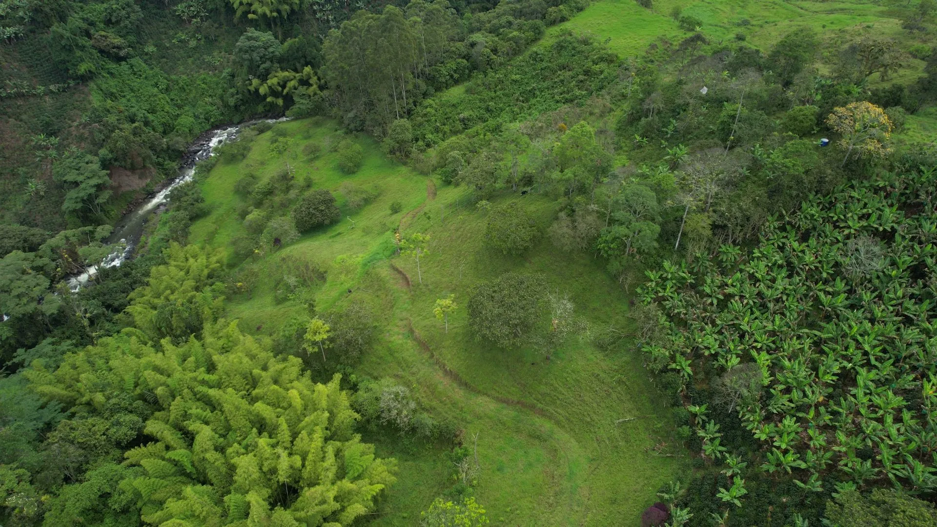 Terreno de 2,16 hectáreas en Jardín, Antioquia, con frente sobre el río Claro - 9