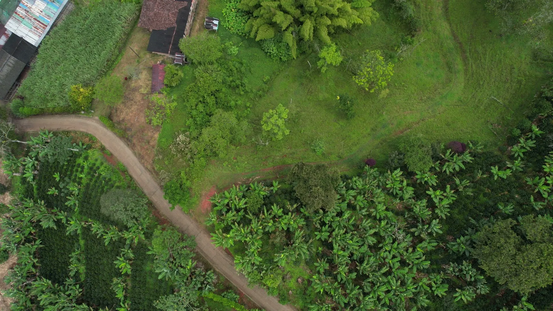 Lotes campestres en Jardín, Antioquia. Vereda Verdún - 9