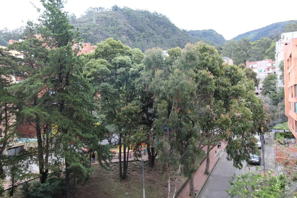 Apto Rosales: 174m2, balcón, 3 cuartos, 3.5 baños y 3 parqueaderos — foto 3