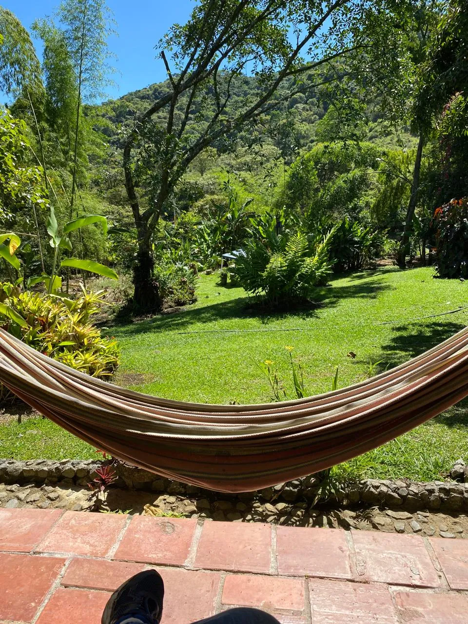 Alquiler de Casa Campestre en Potrerillo, Palmira — foto 13