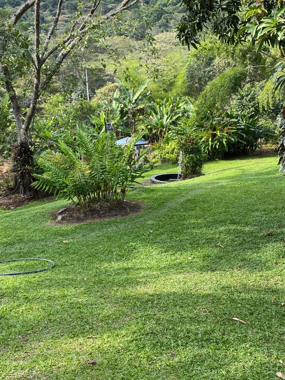 Alquiler de Casa Campestre en Potrerillo, Palmira — foto 9
