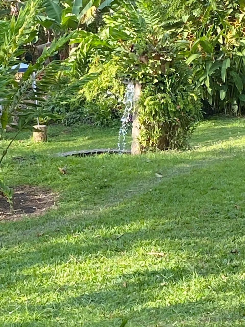 Alquiler de Casa Campestre en Potrerillo, Palmira — foto 12