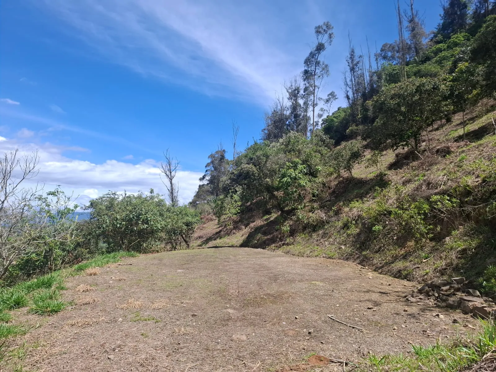 Venta de Terreno, Lote Rural, Choachí, Sector del Refugio - 3