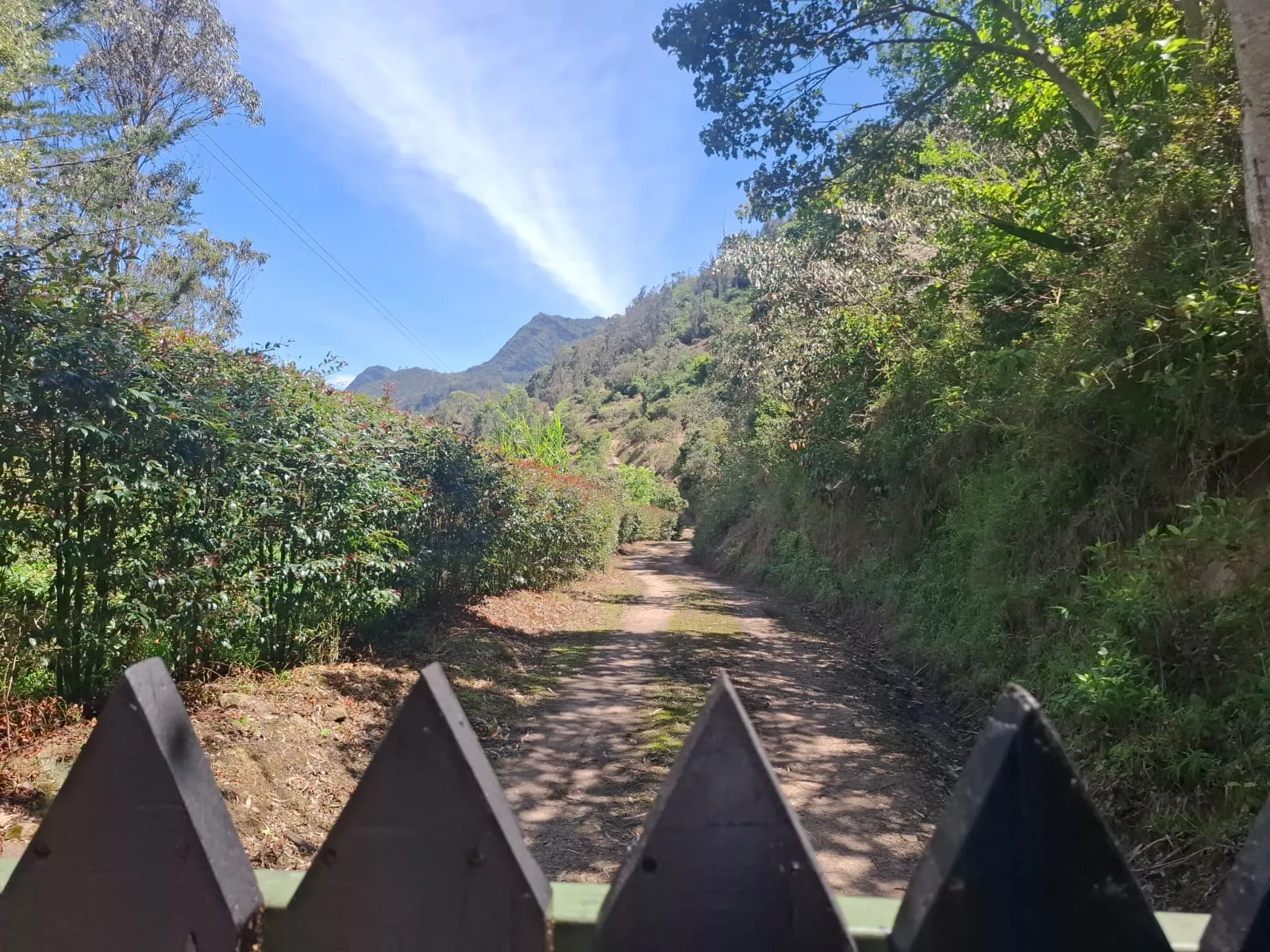 Venta de Terreno, Lote Rural, Choachí, Sector del Refugio - 11