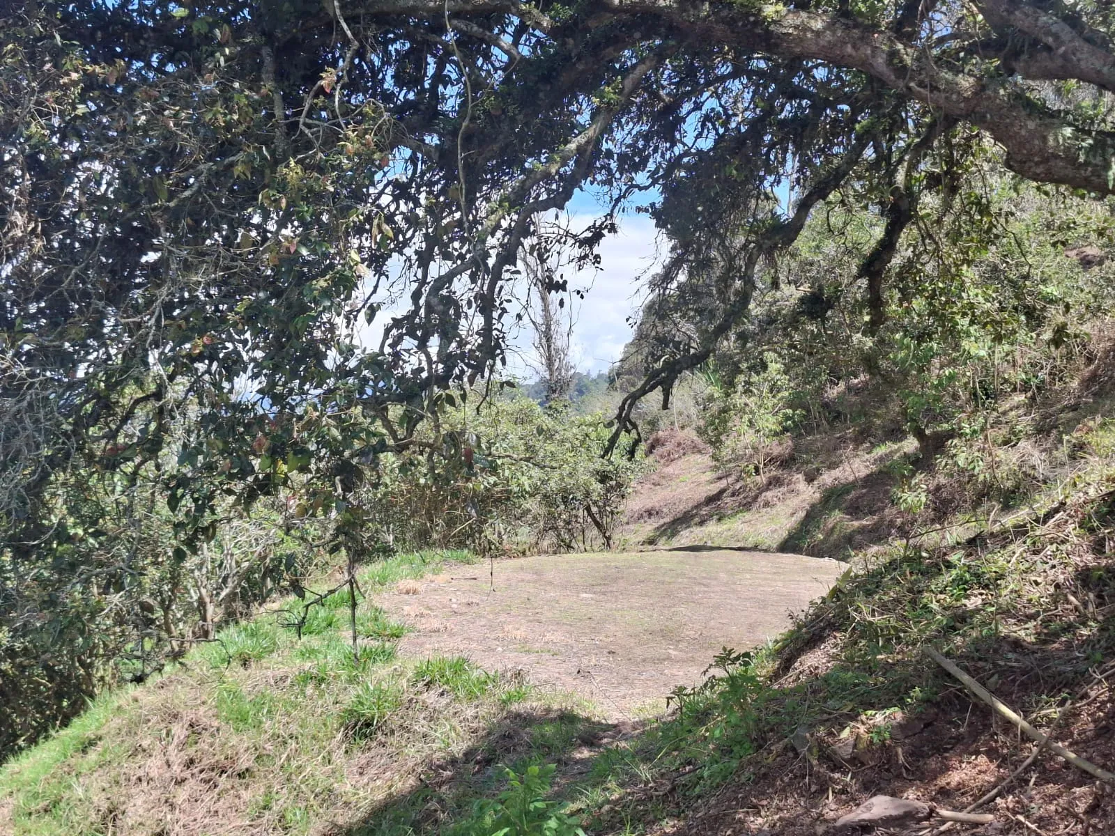 Venta de Terreno, Lote Rural, Choachí, Sector del Refugio - 4