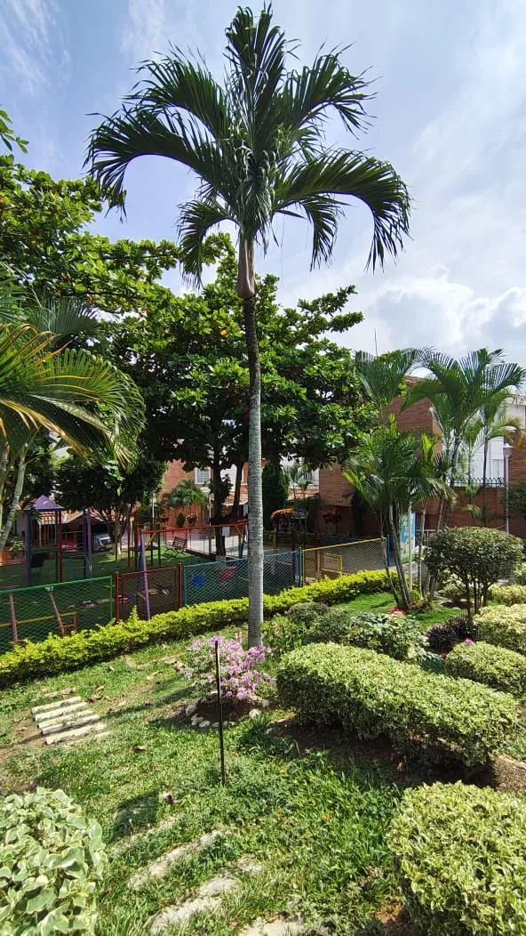 Casa en venta en Versalles Campestre, Floridablanca — foto 9