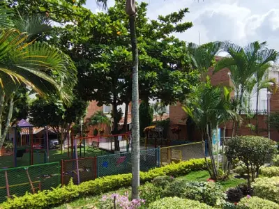 Miniatura 9