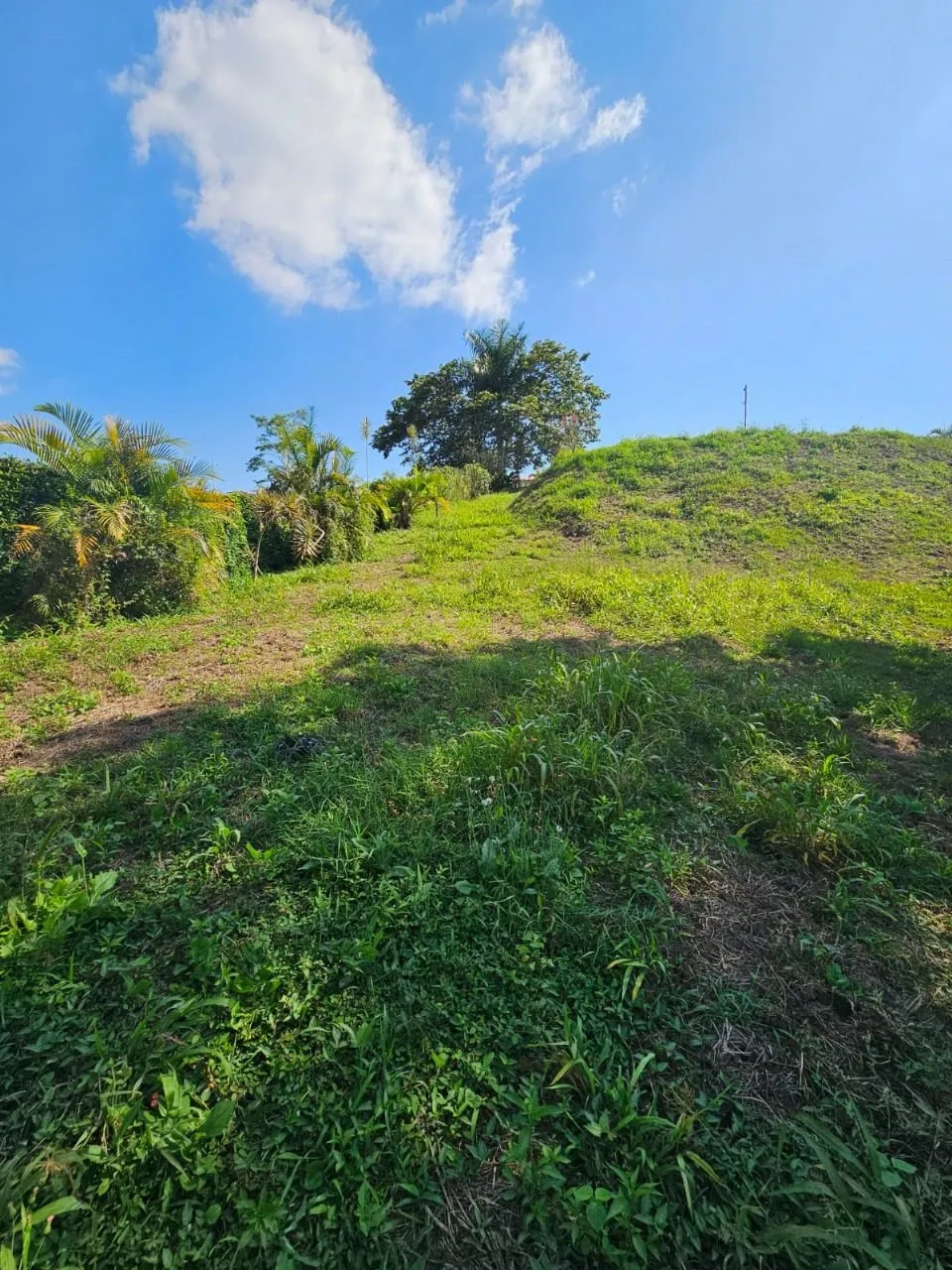 ENCANTADOR LOTE CONJUNTO RESIDENCIAL PORTACHUELO LA TEBAIDA QUINDIO – EJE CAFETERO — foto 7